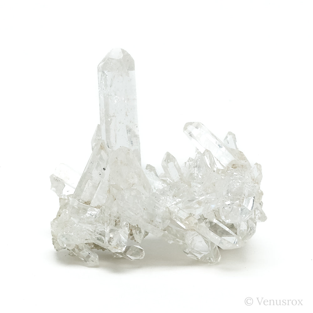 Himalayan Chlorite Quartz Natural Cluster from the Indian Himalayas | Venusrox
