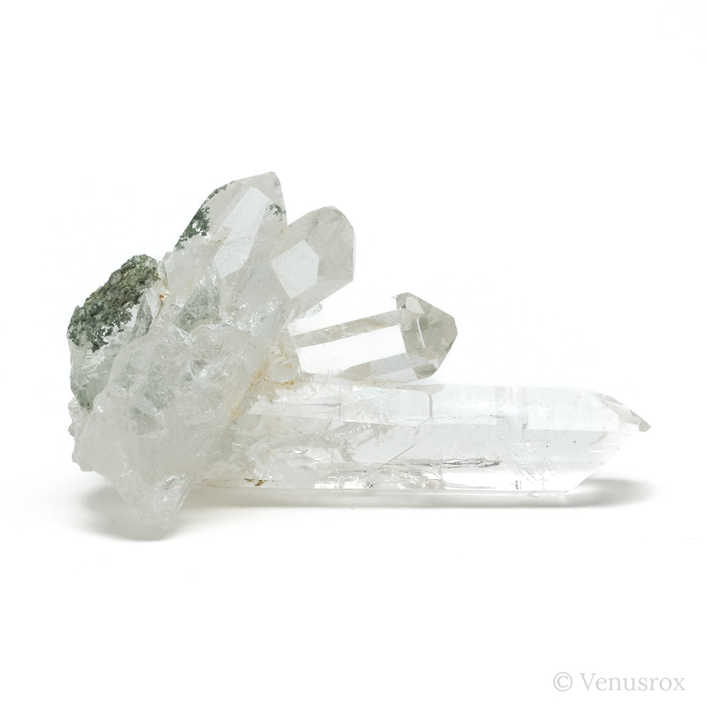 Himalayan Chlorite Quartz Natural Cluster from the Indian Himalayas | Venusrox
