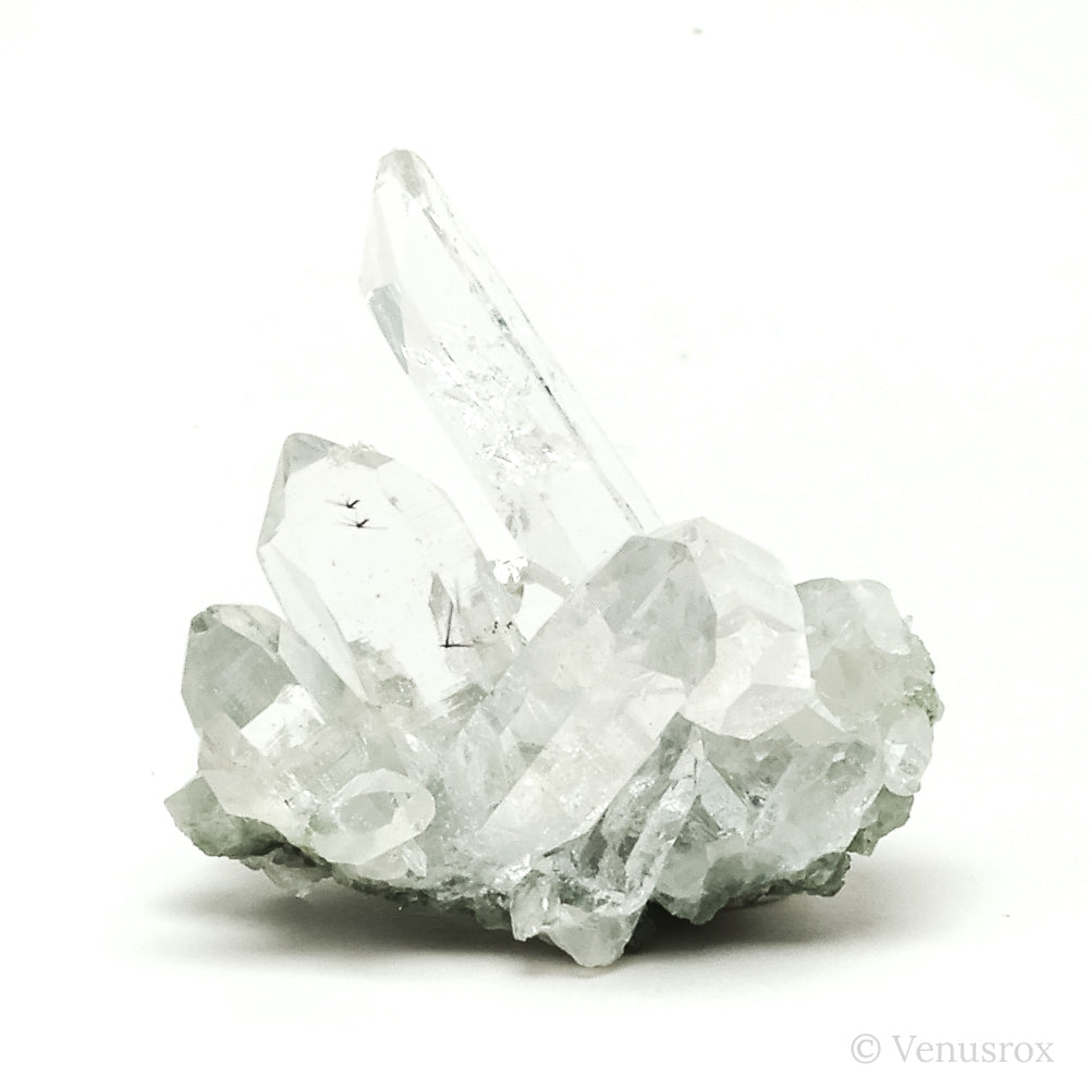 Himalayan Chlorite Quartz Natural Cluster from the Indian Himalayas | Venusrox