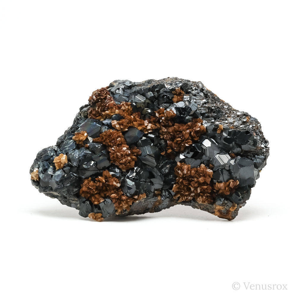 Siderite on Sphalerite Natural Cluster from the Trepča Mining Complex, Trepča Valley, Kosovska Mitrovica, Kosovska Mitrovica District, Kosovo | Venusrox