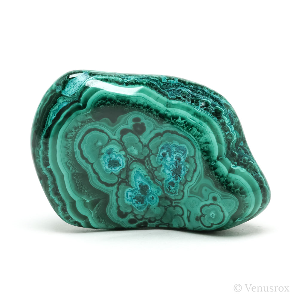 Malachite with Chrysocolla Polished Crystal from the Democratic Republic of Congo | Venusrox