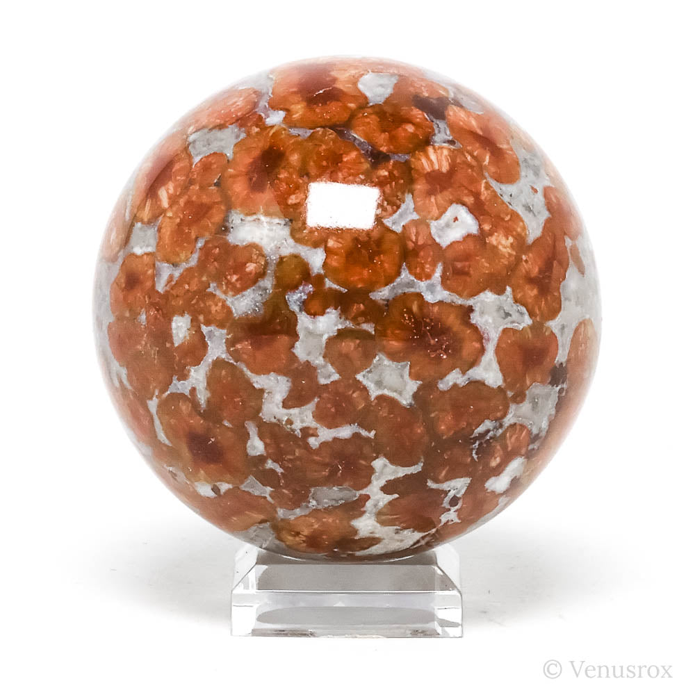 Jasper Polished Sphere from India | Venusrox