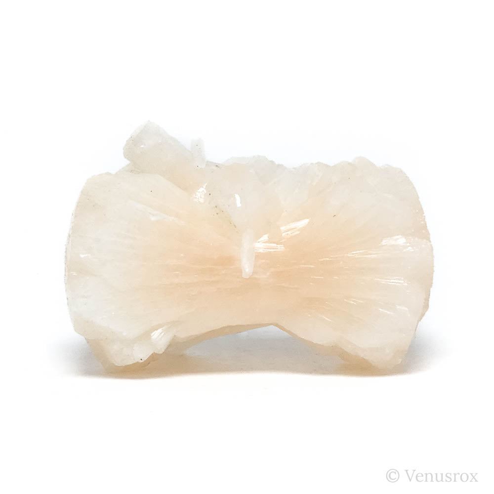 Stilbite Natural 'Bow-tie' from Pune District, Maharashtra, India | Venusrox