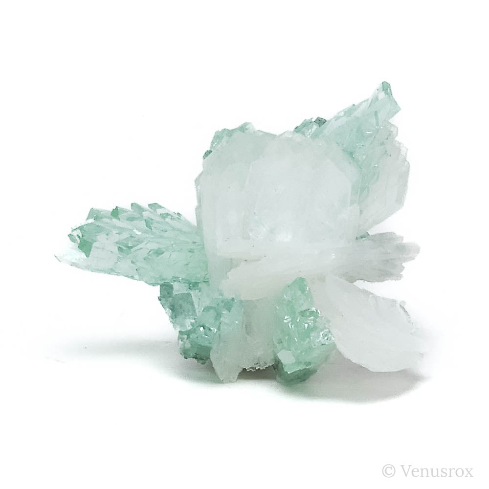 Green Apophyllite & Stilbite Cluster from Maharashtra, India | Venusrox