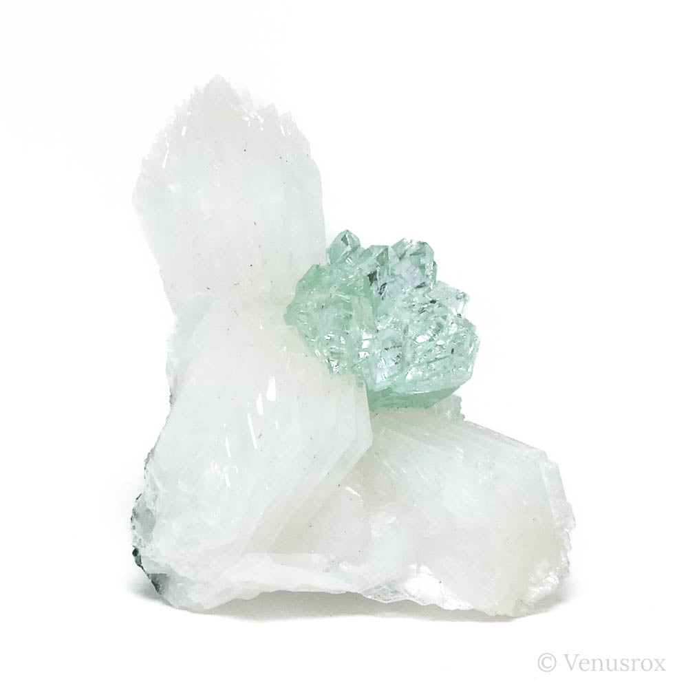 Green Apophyllite & Stilbite Cluster from Maharashtra, India | Venusrox