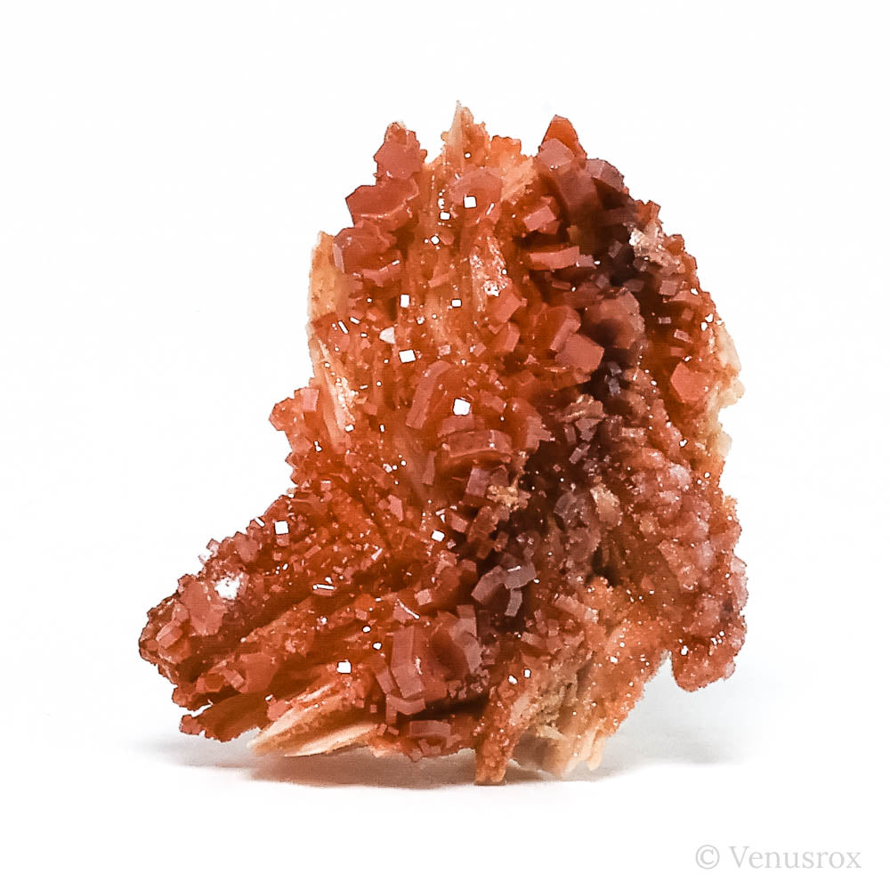 Vanadinite on Barite & Matrix Natural Specimen from Mibladen, Midelt, Meknes-Tafilalet Region, Morocco | Venusrox