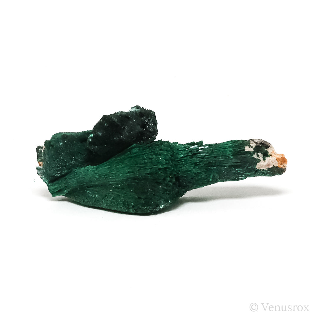 Fibrous Malachite with Matrix Natural Crystal from Kerrouchene, Khenifra Province, Meknes-Tafilalet Region, Morocco, Africa | Venusrox