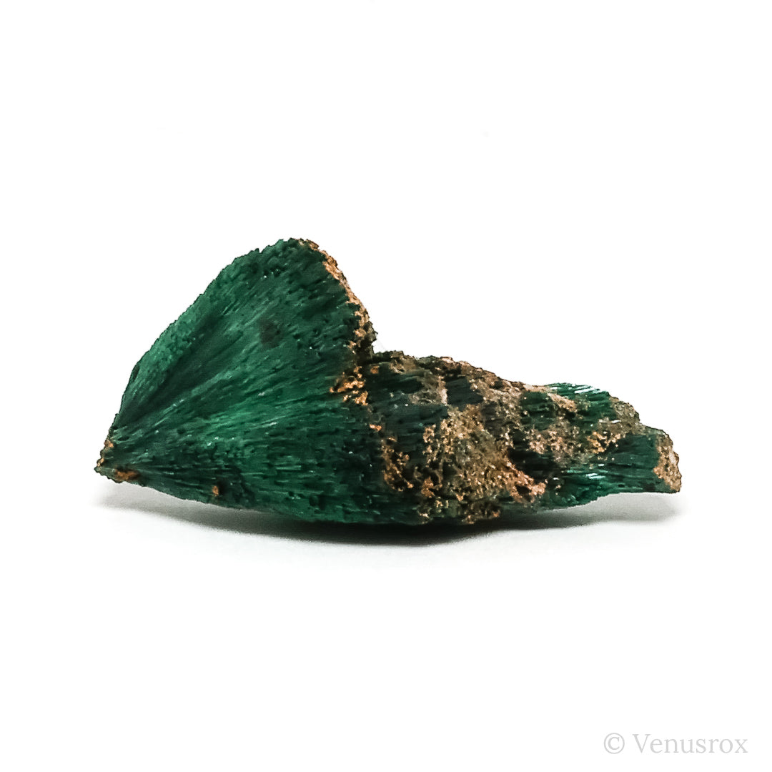 Fibrous Malachite with Matrix Natural Crystal from Kerrouchene, Khenifra Province, Meknes-Tafilalet Region, Morocco, Africa | Venusrox