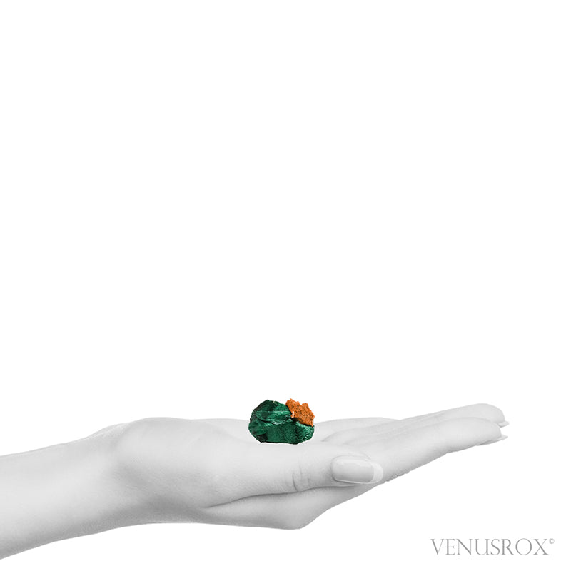 Fibrous Malachite with Matrix Natural Crystal from Kerrouchene, Khenifra Province, Meknes-Tafilalet Region, Morocco, Africa | Venusrox