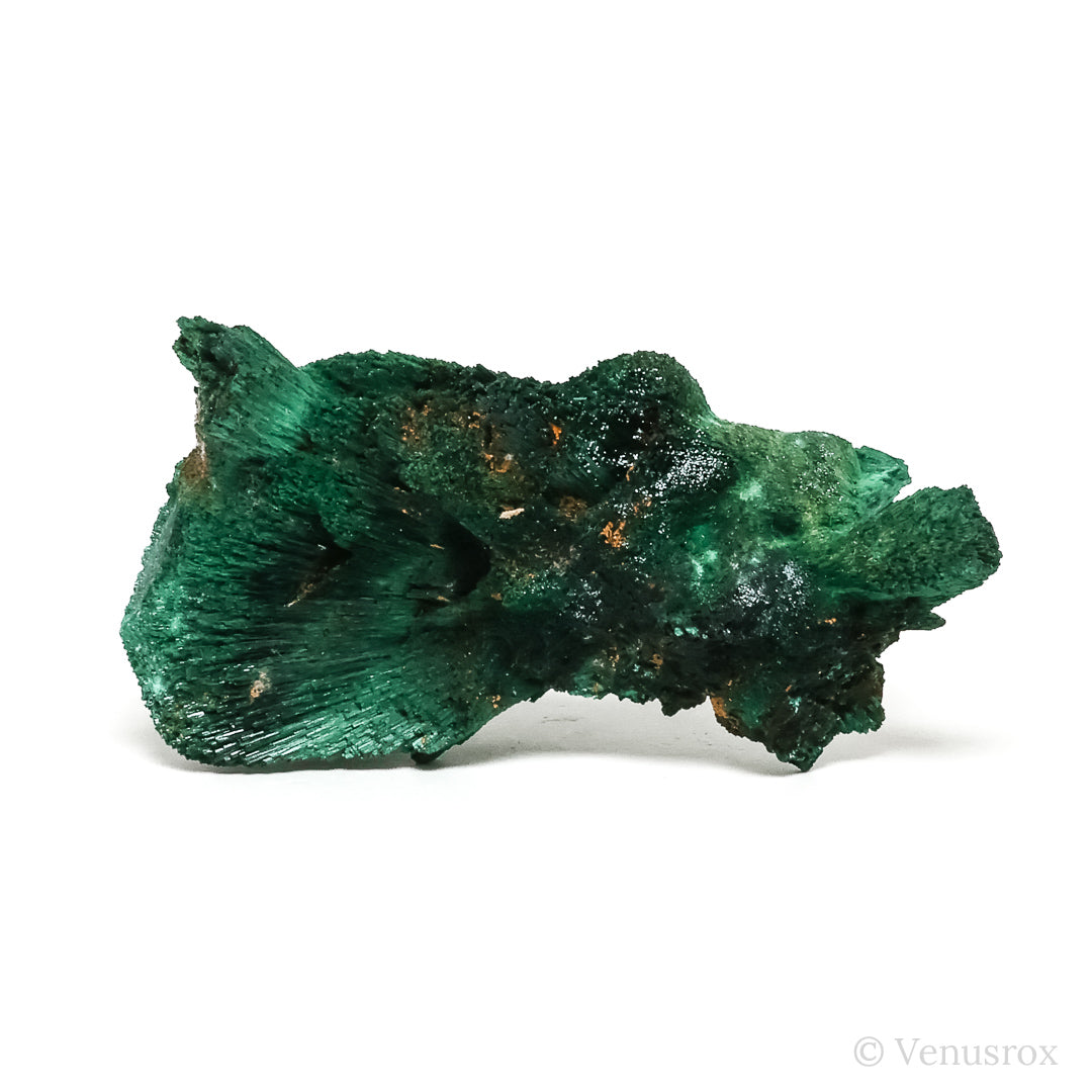 Fibrous Malachite with Matrix Natural Crystal from Kerrouchene, Khenifra Province, Meknes-Tafilalet Region, Morocco, Africa | Venusrox