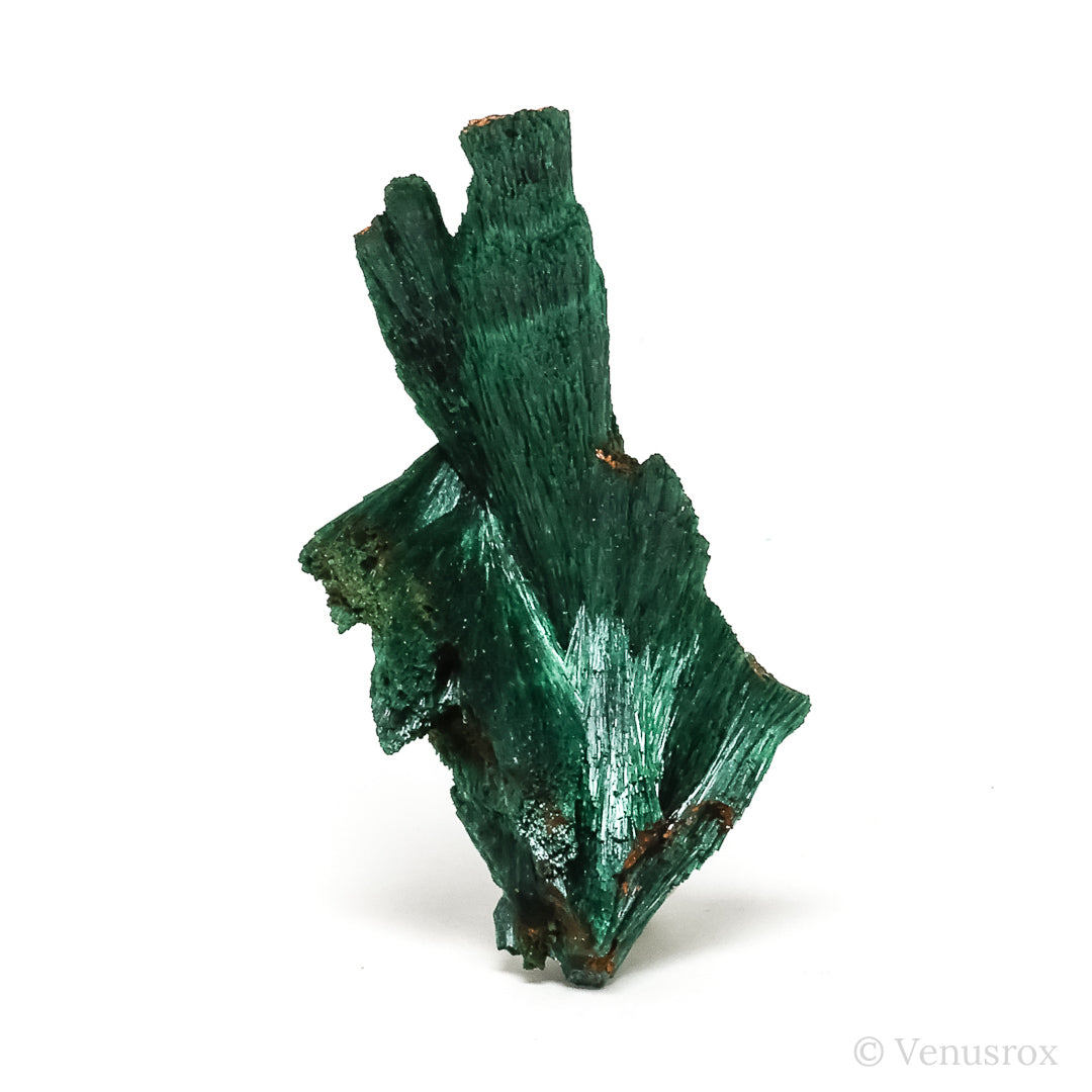 Fibrous Malachite with Matrix Natural Crystal from Kerrouchene, Khenifra Province, Meknes-Tafilalet Region, Morocco, Africa | Venusrox