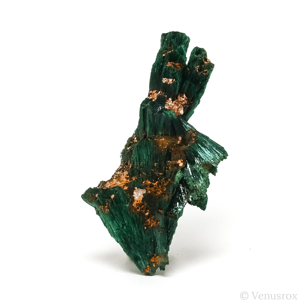 Fibrous Malachite with Matrix Natural Crystal from Kerrouchene, Khenifra Province, Meknes-Tafilalet Region, Morocco, Africa | Venusrox