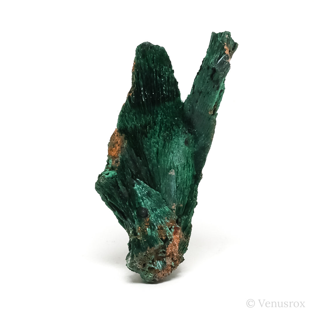 Fibrous Malachite with Matrix Natural Crystal from Kerrouchene, Khenifra Province, Meknes-Tafilalet Region, Morocco, Africa | Venusrox