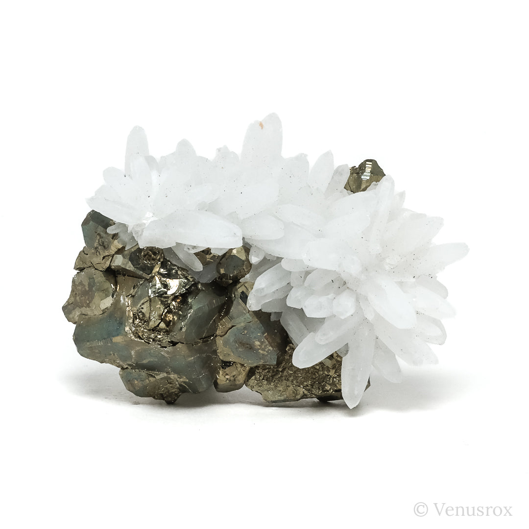 Pyrite with Quartz Natural Cluster from the Huanzala Mine, Huallanca District, Huánuco Department, Peru | Venusrox