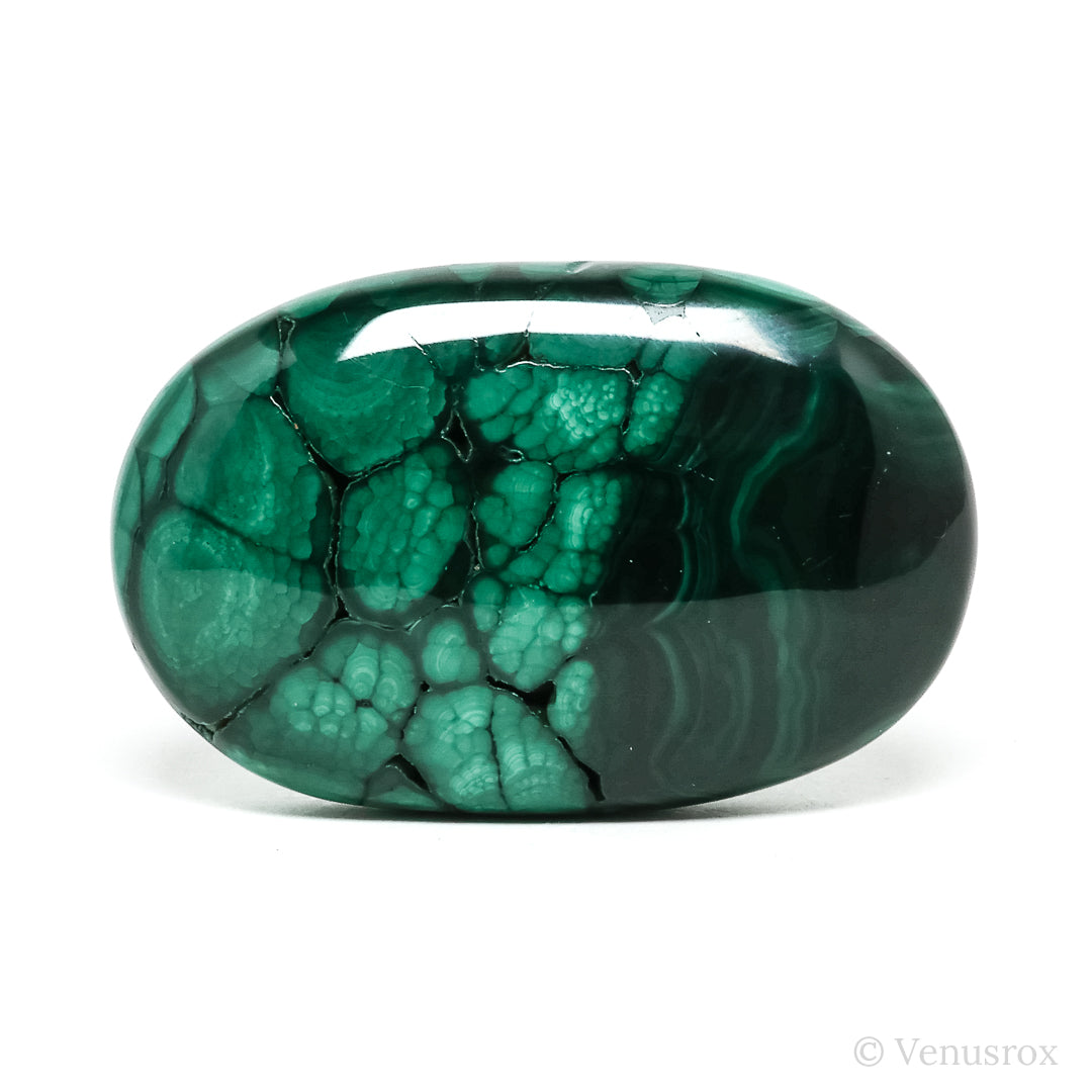 Malachite Polished Crystal from the Democratic Republic of Congo | Venusrox