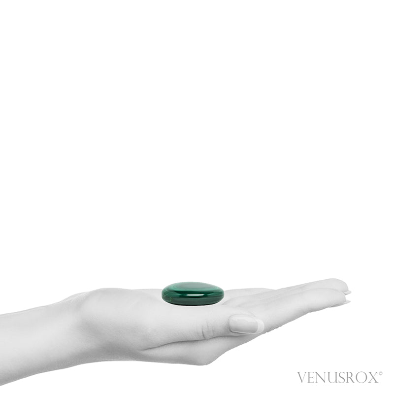 An exquisite Malachite with Chrysocolla Polished Crystal from the Democratic Republic of Congo