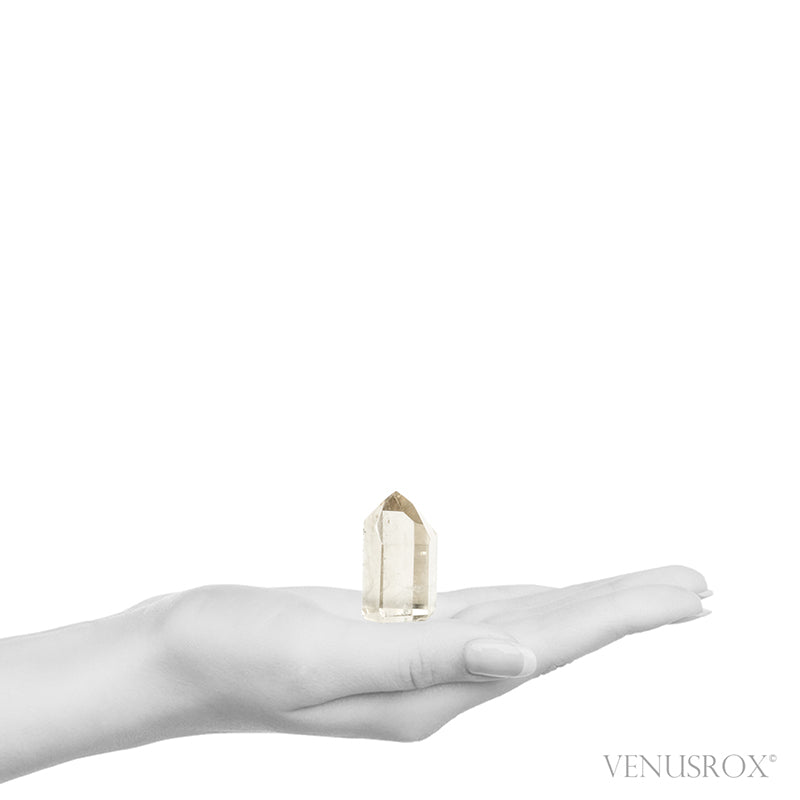 Smoky Rutilated Quartz Polished Point from Brazil | Venusrox