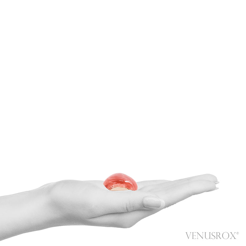 Rhodochrosite Polished/Natural Crystal from Argentina | Venusrox