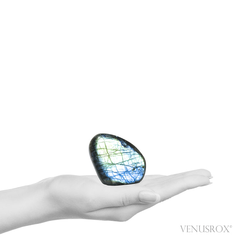 Labradorite Polished Freeform from Madagascar | Venusrox