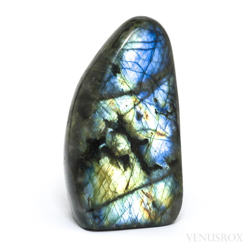 Labradorite Polished Freeform from Madagascar | Venusrox