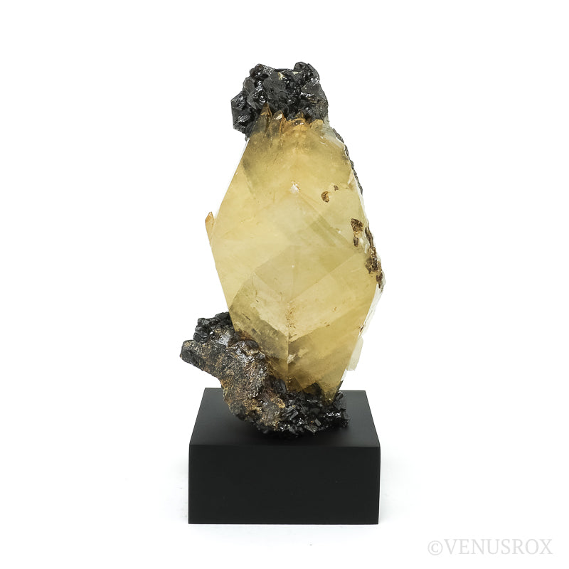 Stellar Beam Calcite with Sphalerite on Matrix Natural Cluster from the Elmwood Mine, Tennessee, USA, mounted on a bespoke stand | Venusrox