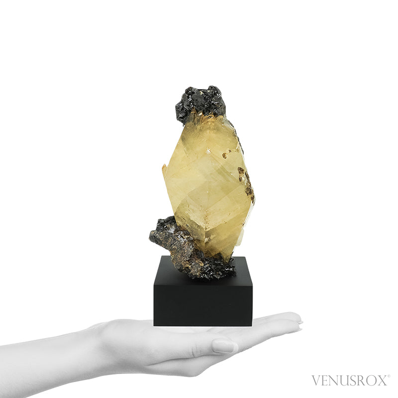 Stellar Beam Calcite with Sphalerite on Matrix Natural Cluster from the Elmwood Mine, Tennessee, USA, mounted on a bespoke stand | Venusrox