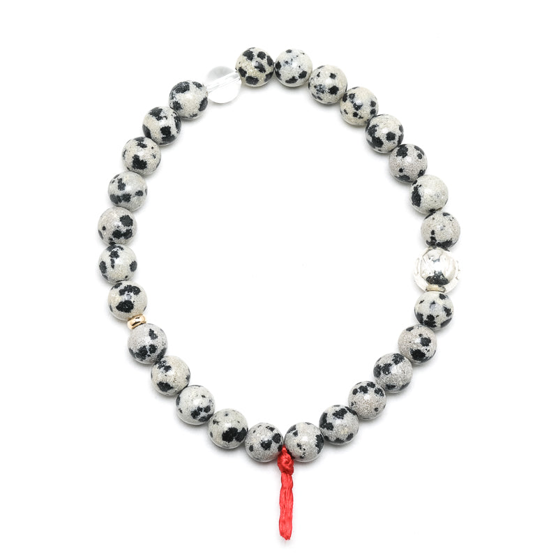 Dalmatian Jasper Bracelet from China | Venusrox