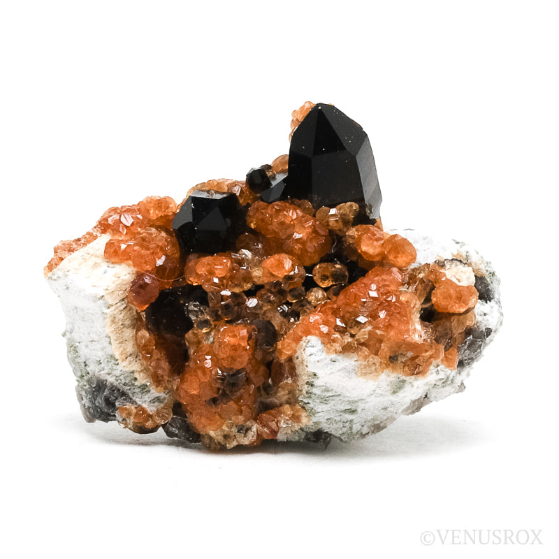 Spessartine Garnet with Smoky Quartz and Orthoclase Natural Cluster from Wushan Spessartine Mine, Tongbei, Yunxiao Co., Zhangzhou Prefecture, Fujian Province, China | Venusrox