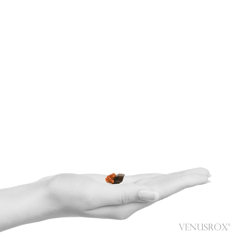 Spessartine Garnet with Smoky Quartz and Orthoclase Natural Cluster from Wushan Spessartine Mine, Tongbei, Yunxiao Co., Zhangzhou Prefecture, Fujian Province, China | Venusrox