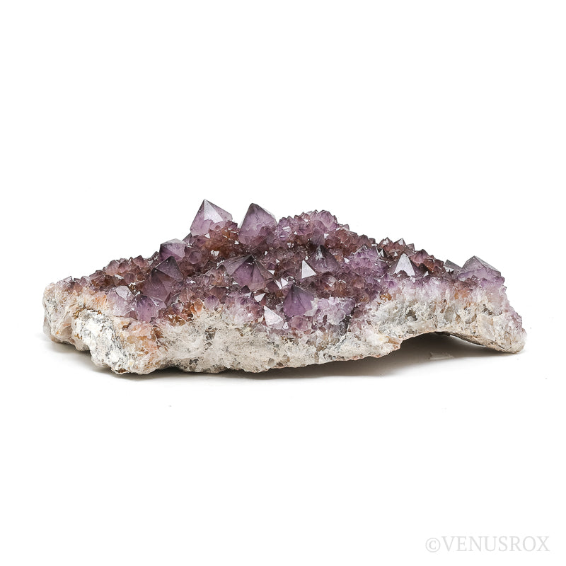 Natural Amethyst Spirit Quartz Cluster from Mpumalanga, South Africa | Venusrox