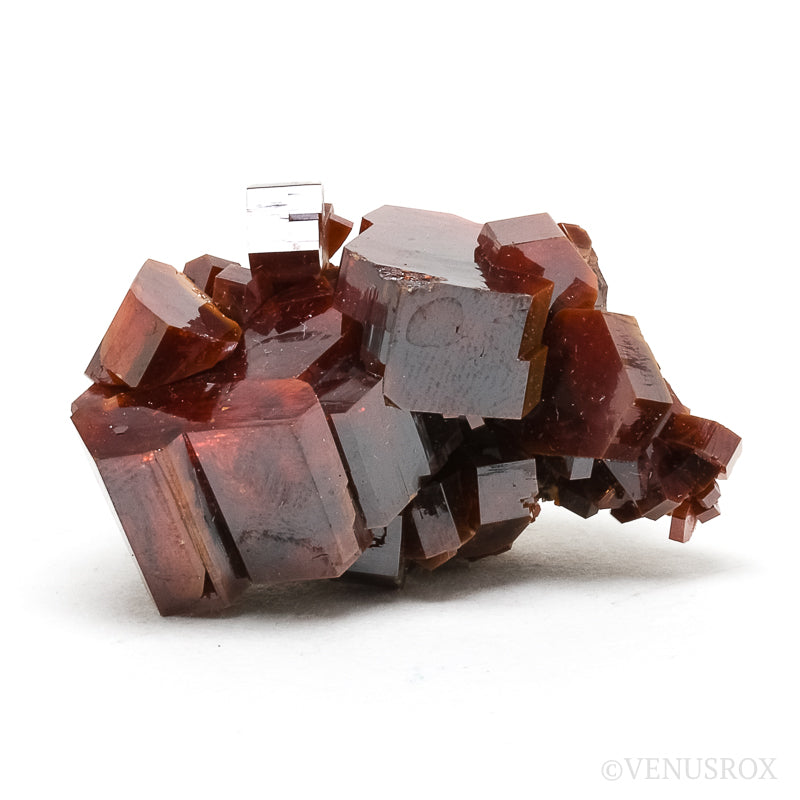 Vanadinite Natural Cluster from Mibladen, Midelt, Meknes-Tafilalet Region, Morocco | Venusrox