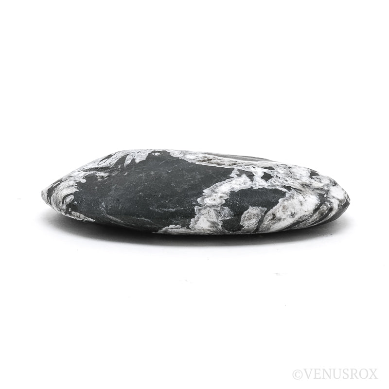 Chrysanthemum Stone from China | Venusrox