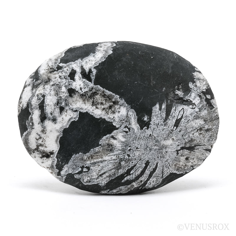 Chrysanthemum Stone from China | Venusrox