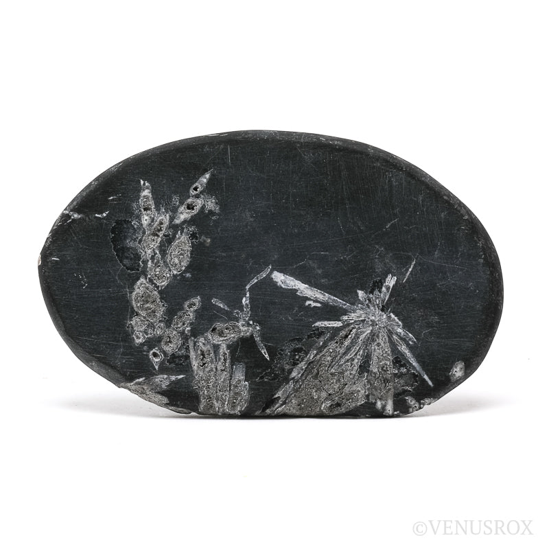 Chrysanthemum Stone from China | Venusrox
