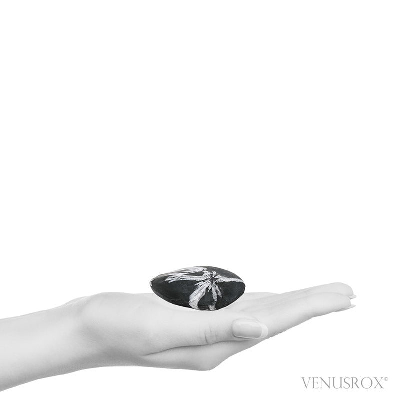 Chrysanthemum Stone from China | Venusrox