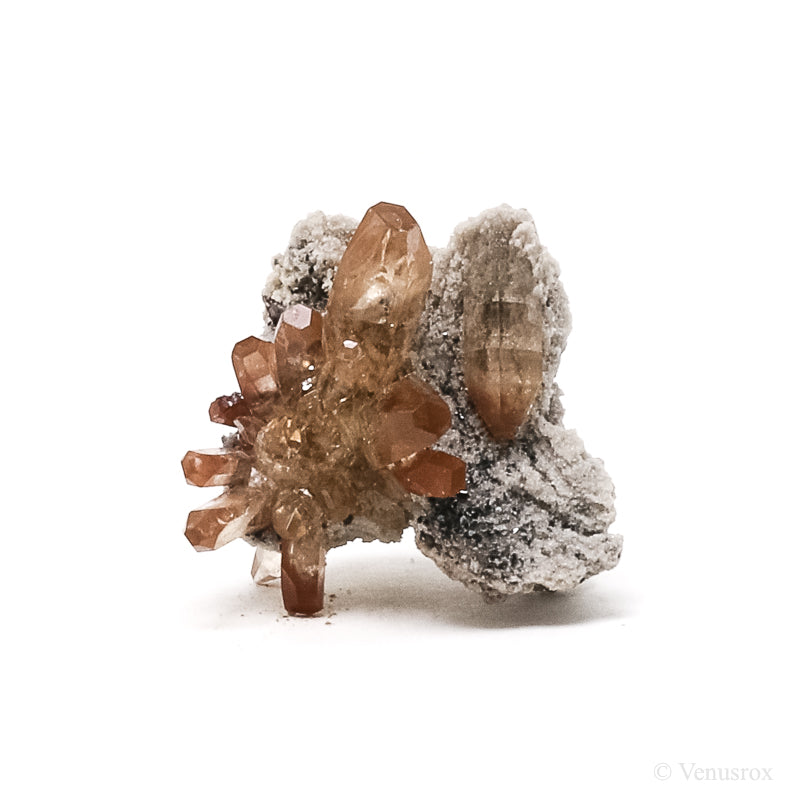 Topaz on Matrix Natural Cluster from San Luis Potosi, Mexico | Venusrox
