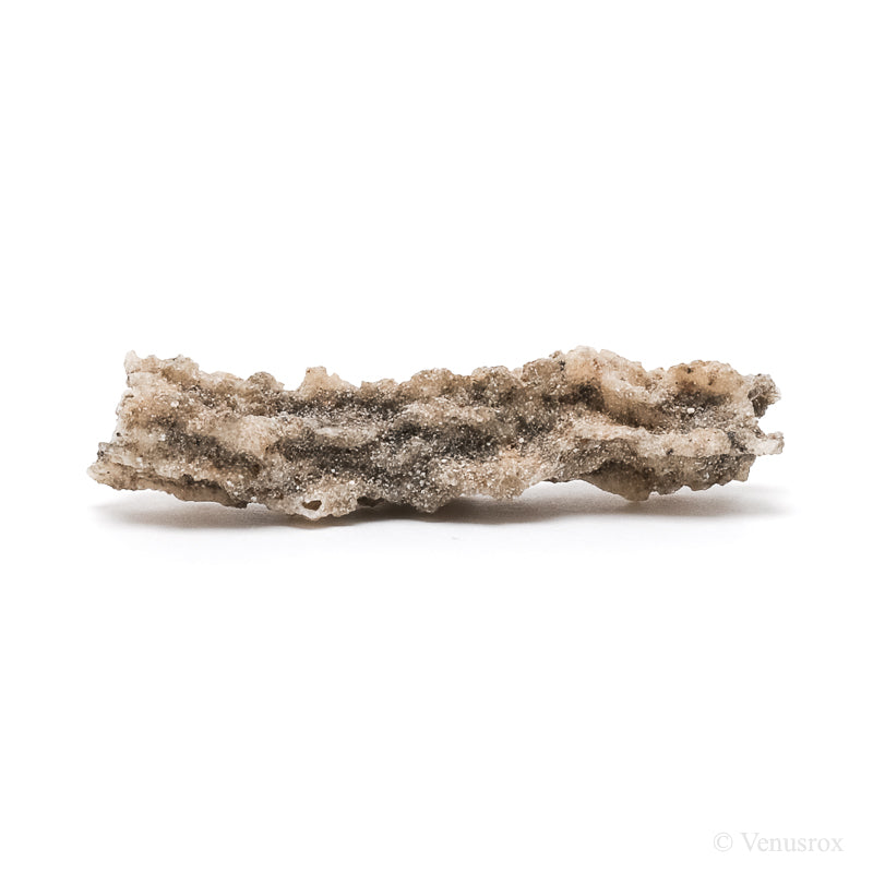 Fulgurite from North Africa | Venusrox
