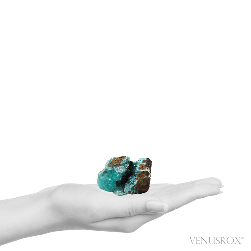 Chrysocolla with Malachite & Quartz Natural Crystal from the Lily Mine, Pisco Umay, Ica, Peru | Venusrox