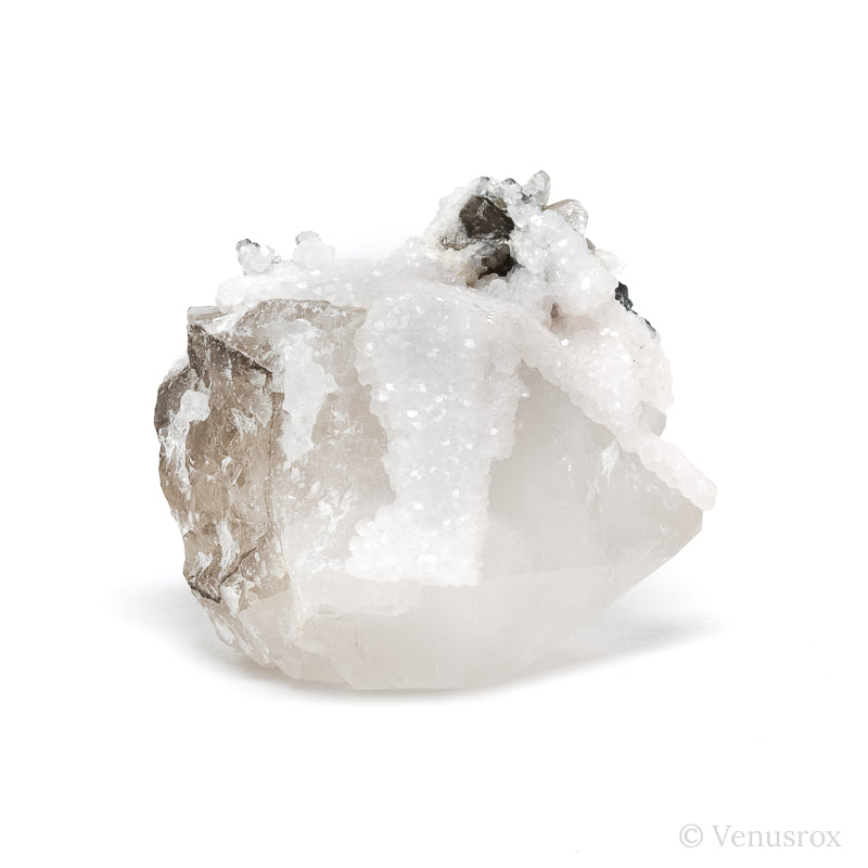 Calcite & Boulangerite on Clear/Smoky Quartz Natural Cluster from the Trepča Mining Complex, Trepča Valley, Kosovska Mitrovica, Kosovska Mitrovica District, Kosovo | Venusrox