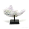 Amethyst Natural 'Flower' from Ametista do Sul, Alto Uruguai region, Rio Grande do Sul, Brazil, mounted on a bespoke stand | Venusrox