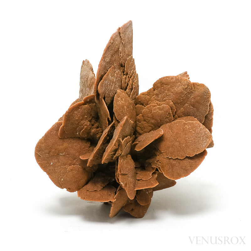 An exceptionally beautiful Desert Rose Natural Cluster from Morocco | Venusrox, the UK's Premier Crystal Showroom