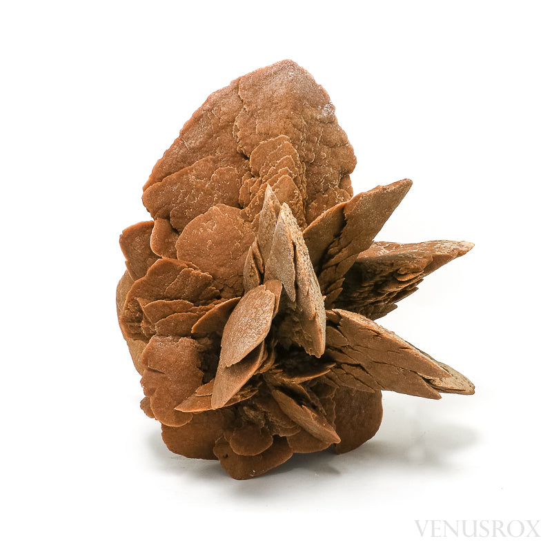 An exceptionally beautiful Desert Rose Natural Cluster from Morocco | Venusrox, the UK's Premier Crystal Showroom
