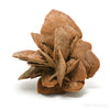 An exceptionally beautiful Desert Rose Natural Cluster from Morocco | Venusrox, the UK's Premier Crystal Showroom