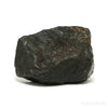 NWA Chondrite Meteorite Fragment from Sahara Desert, North-West Africa | Venusrox