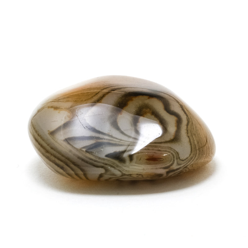 Dendritic Agate Polished Crystal from Madagascar | Venusrox