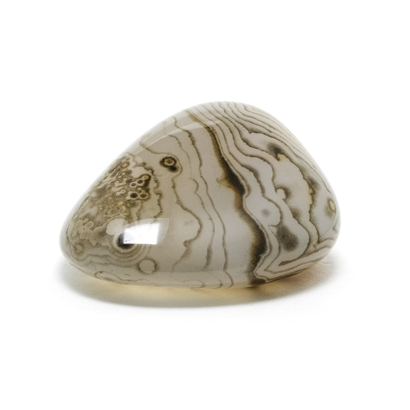 Dendritic Agate Polished Crystal from Madagascar | Venusrox