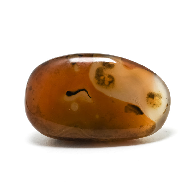 Dendritic Agate/Carnelian Polished Crystal from Madagascar | Venusrox