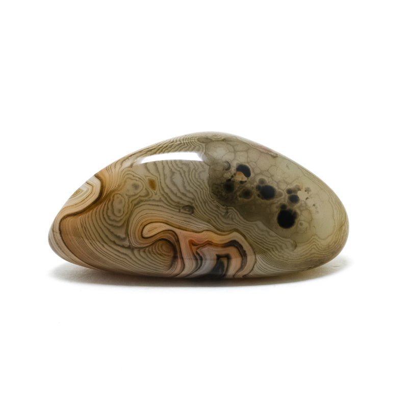 Dendritic Agate Polished Crystal from Madagascar | Venusrox