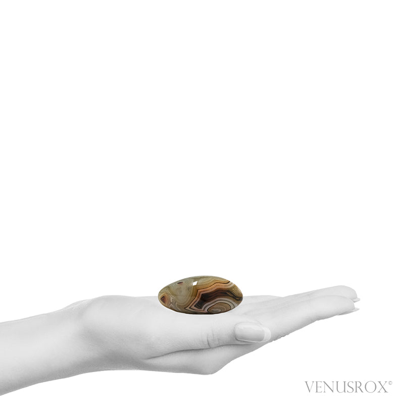 Dendritic Agate Polished Crystal from Madagascar | Venusrox