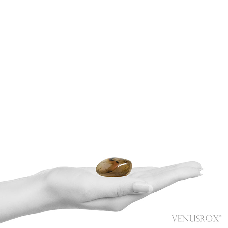 Dendritic Agate Polished Crystal from Madagascar | Venusrox